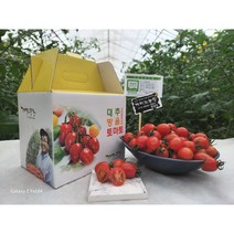 대추방울토마토, 1개, 750g