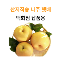 [농부마음] 나주 산지직송 나주 꿀 배 3kg 5kg 7.5kg 15kg 명절 과일 선물용 & 가정용 햇배 신고배 선물 세트, 1box, 01. 5kg 나주햇배 (백화점납품용)