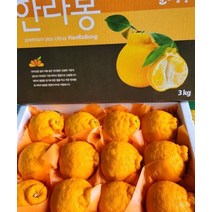 제주 제철한라봉 천혜향 3kg 5kg 10kg 가정용 선물용, 한라봉3kg(상품)
