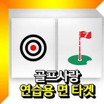 면타겟(중형) 골프타겟 골프연습용타겟 과녁 깃발, 상품선택_과녁, 1개