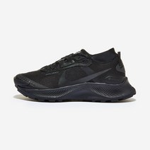 우먼스 나이키 NIKE 페가수스 트레일 3 고어텍스 - 001 1020087255