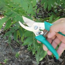 꽃삽 정원모종삽 꽃가위 조경갈퀴 나무 분재가위 원예도구 원예용품 꽃자재