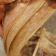 국내산포항 건조오징어 오징어한축 말린오징어 5미 10미