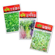 와이쇼핑 소독되지 않은 새싹씨앗 21종 새싹재배, 16)밀, 1개