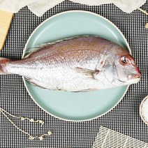 싱싱테이블 삼천포 자연산 반건조생선 설 선물세트 B, 다올1 제수용B세트, 다올1 본상품선택