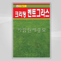 슬로시 슬로시 벤트그라스 씨앗 20g 야외 골프장 잔디씨