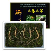 삼바이 산양산삼 10년근 선물세트 산삼 산양삼 장뇌삼 인삼 면역력 기력보강 설날 추석 설선물 설명절 추석선물 추석명절 명절선물, 5개
