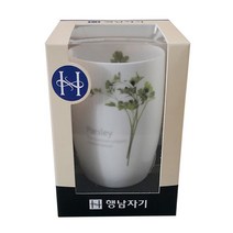 행남자기 파슬리 물컵1p