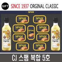 CJ 제일제당 스팸 복합5호 선물세트 + 선물용가방, 4개
