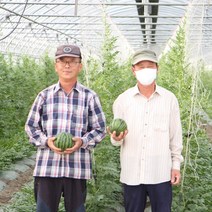 당일수확 함평 김씨형제 애플수박4수 당일직송 4K-5Kg 8월31일수확, 4수