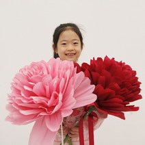 아침향기 어버이 스승의날 환갑잔치 기념일 선물 자이언트 카네이션, 레드