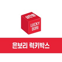 삼만원 은보리 랜덤 럭키박스