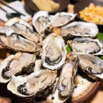 고창 동죽 2kg 동죽조개 (물총조개) 서해안 산지직송 생물, 동죽조개 2kg, 1개