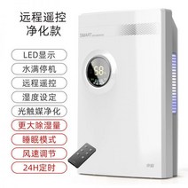 제습기 10리터 화장실 미니 공기청정 원룸 105787, 원격 제어 정화 모델 - 듀얼 코