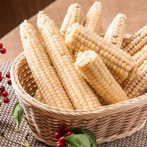 냉동 괴산대학찰옥수수30개 중품/미니사이즈, 30개 찐냉동/중품/15센티이하/중품