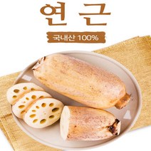 국내산 연근 흙연근 통연근 행사가, 3kg, 1개