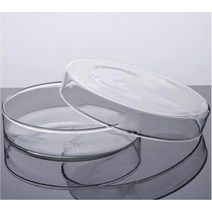 큰 샬레 유리 배양 접시 120mm 페트리 두뇌개발 화학 어린이 과학상자