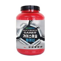 가이스머슬게이너 초코맛 4kg 체중증가 단백질보충제, 1개/4kg, 1개