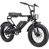 성인용 MEELOD 전기 자전거 750W 브러시리스 모터가 장착된 Ebike 48V12.5Ah 착탈식 대용량 리튬 배터리 20 x4.0 팻 타이어 눈 도로 및 산악용, 블랙 750W