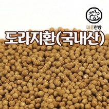 대흥한방 도라지환 500g 국내산, 1개