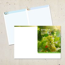 계절 디자인 주보용지 교회 순서지 예배 주보지 안내지 청년부 주일학교 교회행사 성경학교 맥추 추수감사 성탄절 사순절, EA-37