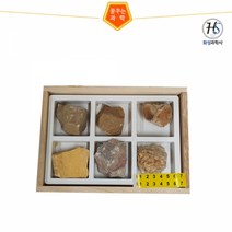 교과서에나오는 퇴적암 6종세트(붙임 딱지포함) (HS)문구용품 장난감 문구도매 학습준비물 만들기용품 DIY용품 공예 완구, 본상품