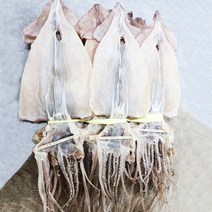 마른오징어 / 동해 자연산 마른오징어 2미 160g 내외 1팩, 5미