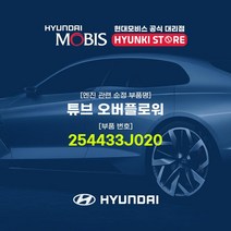 현대모비스 튜브 오버플로워 (254433J020)