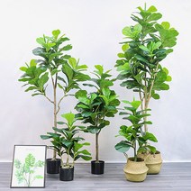 떡갈잎 고무나무 조화(180cm), 상세페이지 참조, 상세페이지 참조