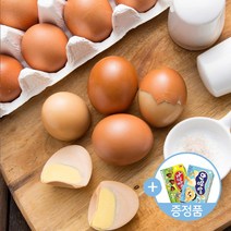 늘바름 Haccp인증 안심 구운계란 반숙란 모음(쿠팡 강추) / 전 옵션 2세트 구매시 초코송이 하양송이50g 2곽 랜덤 증정, 1세트, 01.무항생제 구운란20구(1판)