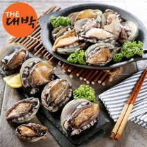 더대박 완도 통 전복 산소포장 당일채취, 1box, 활 전복(대/16-22미) 1kg