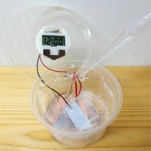 아연판 구리판 소금물 시계제작 10인교구 원소구성 탐구보고