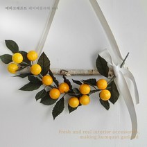 [페이퍼플라워 DIY]금귤나무 갈란드만들기, 기본키트+오일파스텔48색+스펀지+광택제