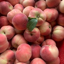 백도 황도 말랑이 딱딱이 털복숭아 대극천 납작 복숭아, 쫄깃 백도복숭아 2.5kg(8~14과), 2.5kg, 1개