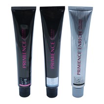 시세이도 프리미언스 엔리치 염색약 80g 산화제포함, 1개, 엔리치(새치) NBe7