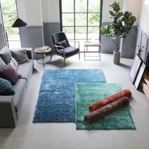 아트박스/시나앤소모 반고 카페트170x230