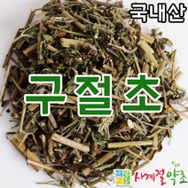 사계절약초 국내산 구절초 600g, 1개