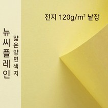 뉴씨플레인 종이문화 얇은 양면색지 120g 전지 낱장 1매 No.10 미색, 1장