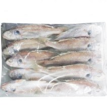 백조기 (90~110G/EA)10미, 단품, 단품