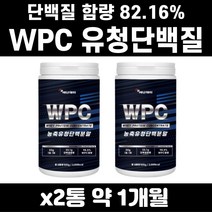 물에타먹는 근력 강화 WPC 유청 단백질 파우더 분말 고 순수 프로틴 프로테인 쉐이크 추천 순위 아미노산 BCAA 류신 이소류신 발린 20대 30대 남성 남자