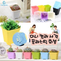 미니 사각 화분 3개 소 대 사이즈 반려식물 작은 다육이 플라스틱 화분 책상 좁은공간 베란다 어린이집 유치원 화분만들기, 그린 3개