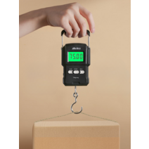 휴대용 저울 전자 소형 가정용 고정밀 디지털 여행용 택배 낚시 손저울 이동형 75KG 무게 측정, EP170(배터리충전)