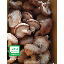 무농약인증 GAP인증 예산표고버섯 못난이 (무료배송) 생표고버섯 가정용으로 추천 다시용 가루용 대량용 육수용 김정용 식당용 건조용 농장직송, 못난이 12kg, 1개