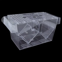 대일 열대어 부화통 대