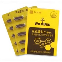 종근당 프로폴리스 아연c 비염 영양제 비염에좋은 약 만성 몸속 염증 제거 목에좋은 알약, 60정(2개월분), 60정, 2개