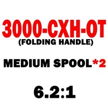 2021 DAIWA 낚시 스피닝릴 FUEGO CS LT 1000-6000 낚시릴 해수, 3000CXH OT