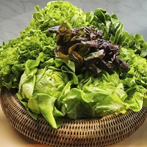 [다신샵] 3회세척 신선한 하루한끼 샐러드 믹스/ 6가지야채, 10팩