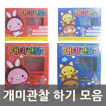 개미관찰하기/개미기르기/개미집, 개미관찰 대 블루