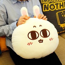 새디 얼굴쿠션/가구점판촉용 임직원선물용 팬시점판매, 없음