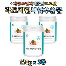 아침 저녁 식사대용 유산균 단백질 락토페린 분말 자몽오렌지 레몬밤 분리유단백 와일드 망고 비타민미네랄 복합 가루 프로틴 보충제 여성 주부 직장인 학생
